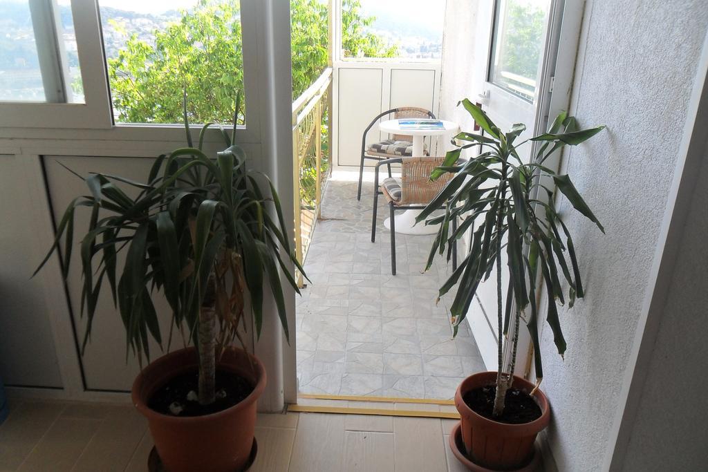 Pansion Panorama Gasthof 3*